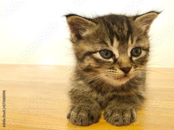 Obraz 待ちぼうけ