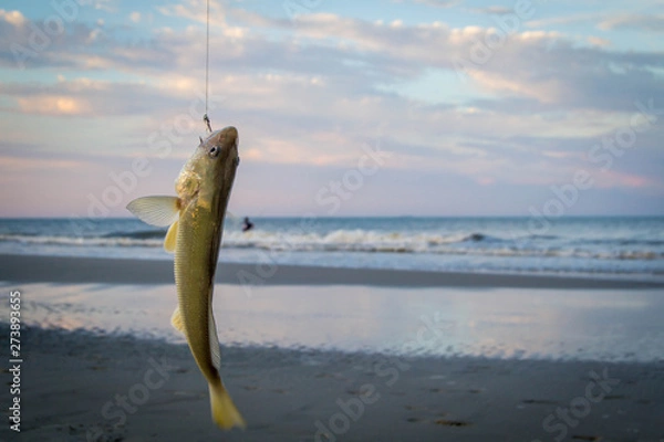 Obraz Fish caught on a hook