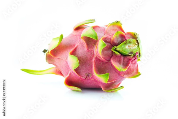 Obraz Dragon fruit