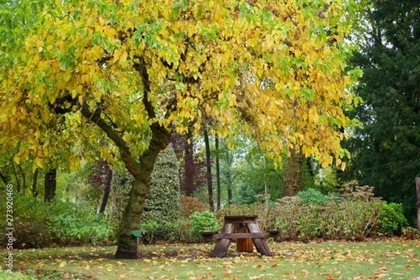 Fototapeta Autumn Bench
