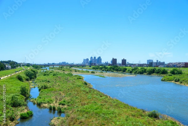 Obraz 二子玉川駅から見える多摩川の風景（世田谷区・川崎市）