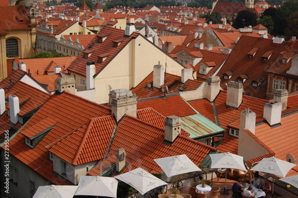 Obraz Red Roof Top