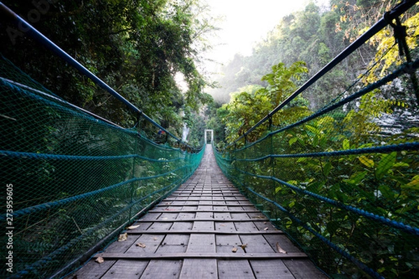 Fototapeta wooden hanging bridge in green tropical forest, clean sky
