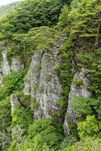 Fototapeta 鳥取　船上山　滝　崖　断崖絶壁