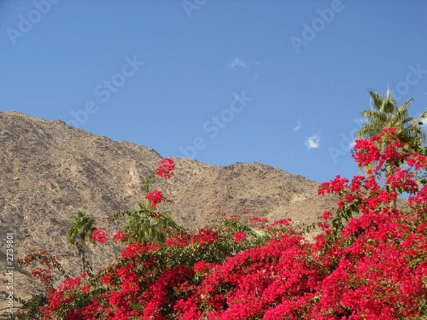 Obraz floral mountains