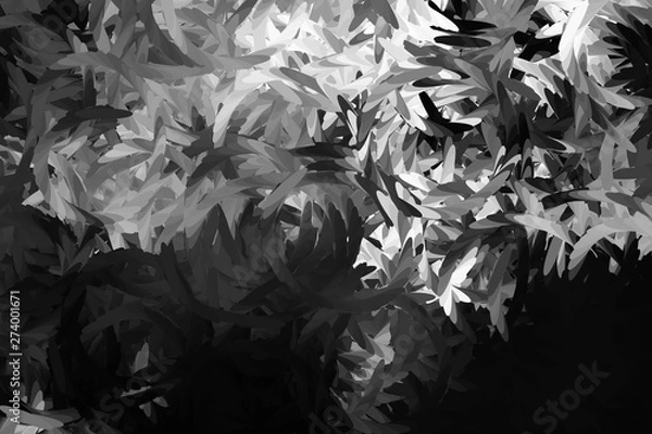 Fototapeta Abstract background with geometric design. Digital futuristic element. Technology. Macro flower cactus. Floral wallpaper. Black and white, monochrome. Dark background. Color palette.