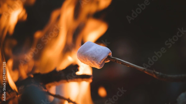Fototapeta marshmallow on a camp fire during camping in nature