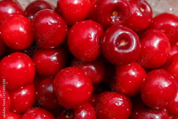 Obraz close-up of pile of wet ripe farm cherries. freshly picked washed sweet cherry background, selective focus.