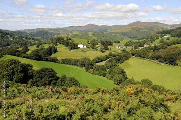 Obraz Castell Dinas Bran