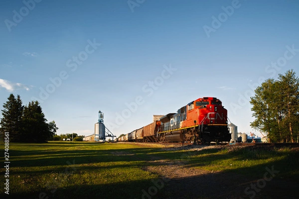 Fototapeta A railway train with attached cabooses at an agriculture grain terminal in a summer evening landscape