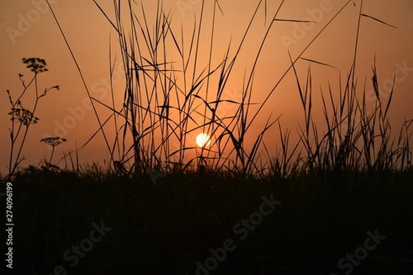 Obraz Poland Sundown