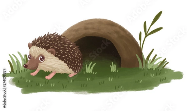 Obraz hedgehog and burrow