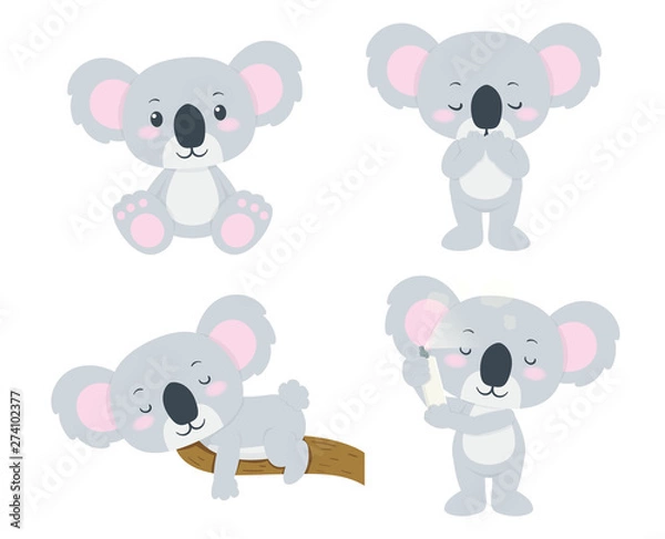Obraz set of koala bears
