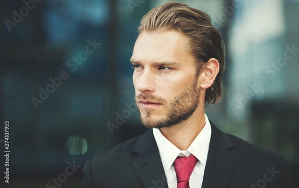 Fototapeta      Handsome blonde male manager