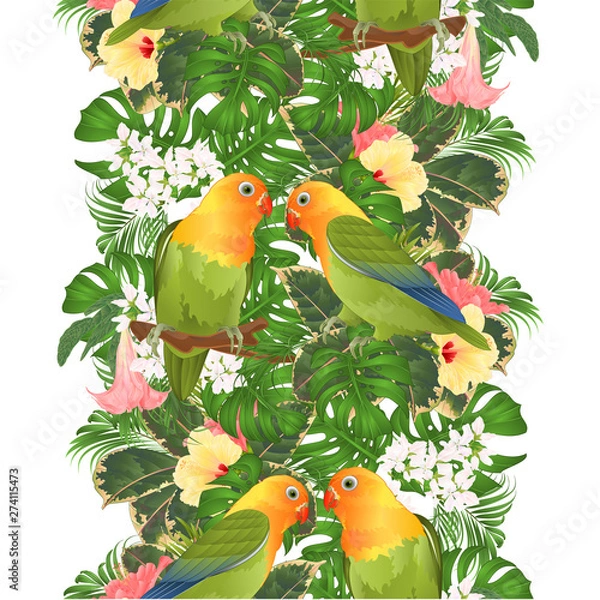 Obraz Border seamless  background parrots Agapornis lovebird tropical birds  and Brugmansia with pink and yellow hibiscus  vector illustration editable hand draw