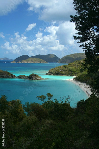 Obraz trunk bay, st. john
