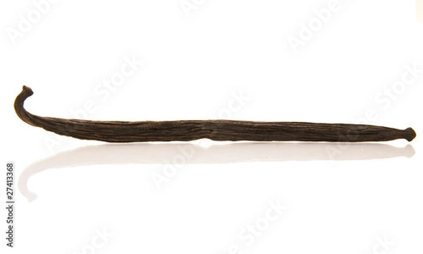 Obraz vanilla bean isolated