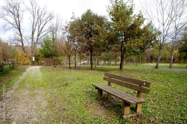 Obraz solo una panchina