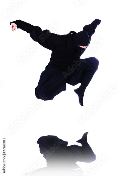 Fototapeta Ninja