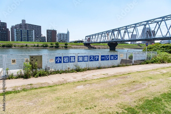 Fototapeta 水上バス 小岩菖蒲園ステーション