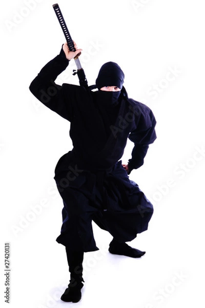 Fototapeta Ninja
