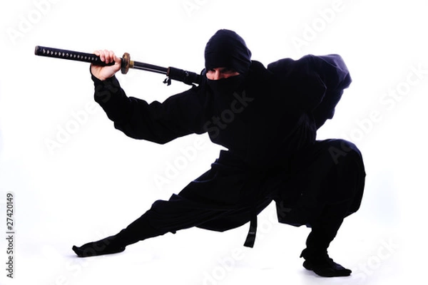 Obraz Ninja