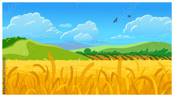 Obraz Summer field vector illustration