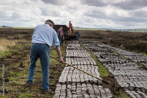 Fototapeta Men cutting turf in a peat bog field in rural Ireland, Peat bog is cultivated as a fuel source during spring season in the republic of Ireland 