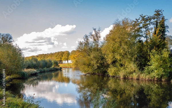 Fototapeta Reflected trees and clouds