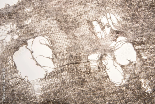 Obraz Closeup of tattered rag - backlit