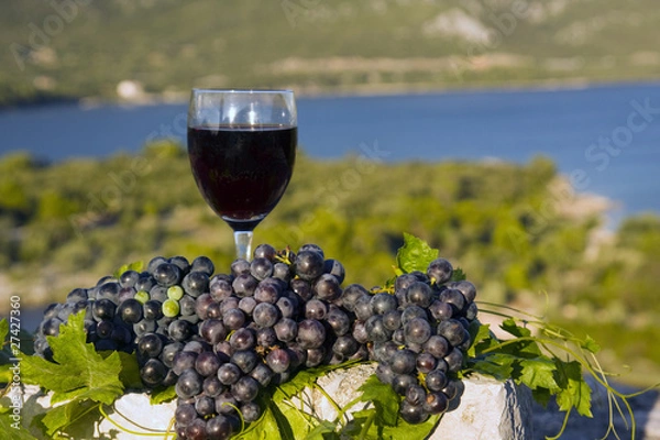 Obraz Glass of wine and grapes
