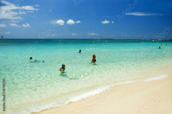 Obraz islanders play