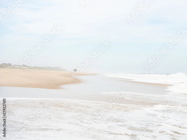 Obraz Długie spacery po plaży