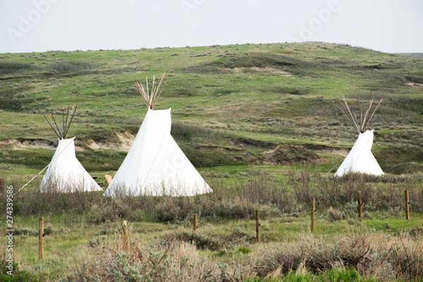 Obraz Teepes in the field in the Grasslands National Park