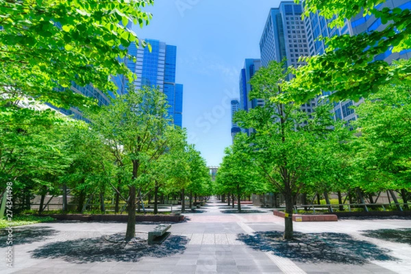 Fototapeta 爽やかな緑のビジネス街