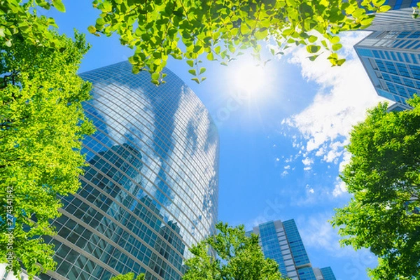 Obraz 爽やかな緑のビジネス街