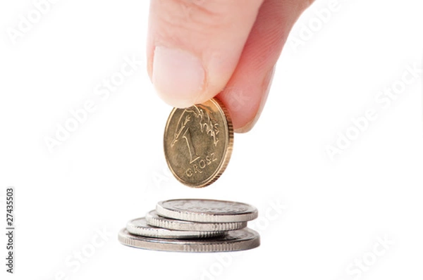 Obraz Hand with Polish coin