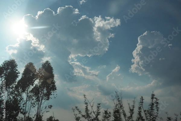 Obraz Sky Forest Mountain