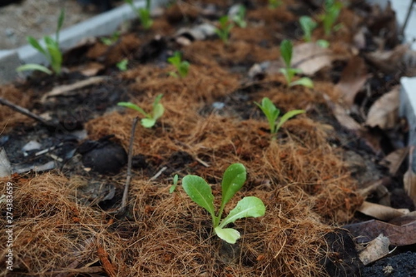 Obraz OLYMPUS DIGITAL CAMERA