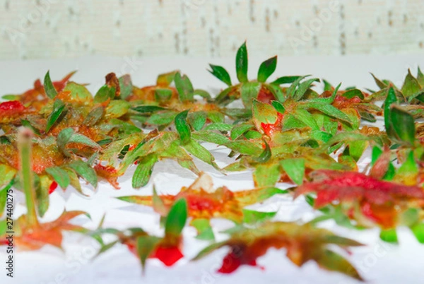 Fototapeta Green tails from strawberries on a glass table