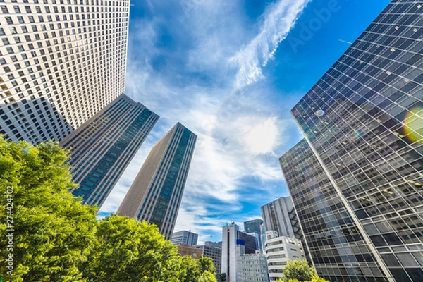 Fototapeta 新緑と都会のビル群