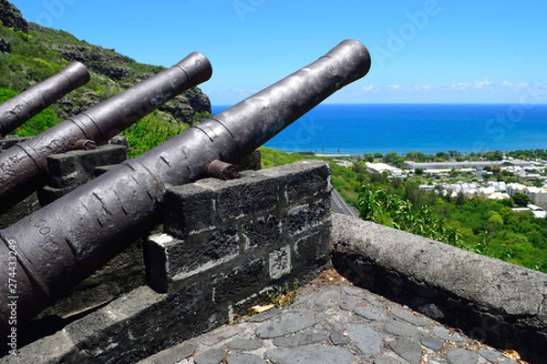 Obraz レユニオン島　キャノン砲