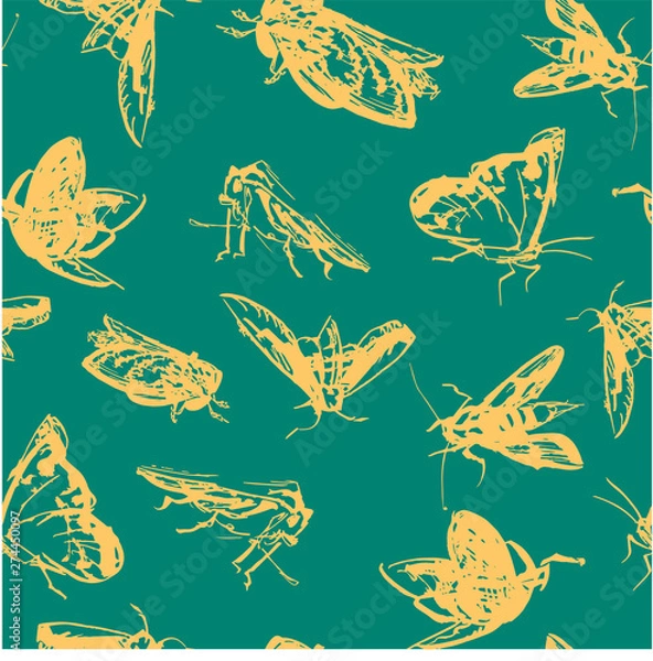 Fototapeta pattern butterfy vector illustration