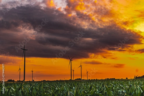 Fototapeta Energy windmill