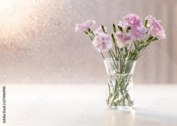 Fototapeta Image with carnations.