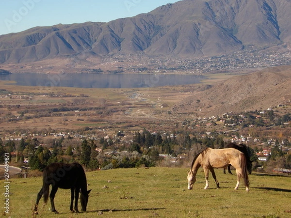 Obraz tafi del valle 2