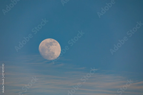 Fototapeta Big moon at sunset