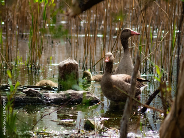 Obraz OLYMPUS DIGITAL CAMERA