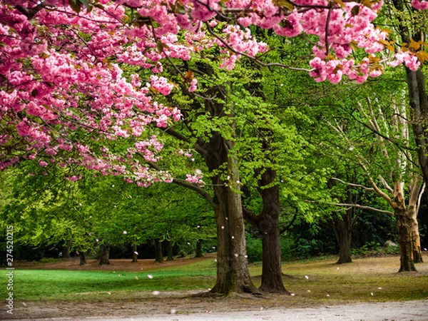 Obraz OLYMPUS DIGITAL CAMERA