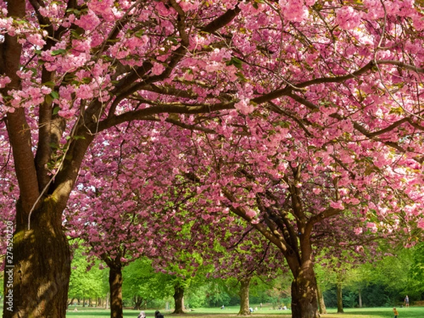 Obraz OLYMPUS DIGITAL CAMERA